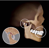 Tooth position closely related to joint position